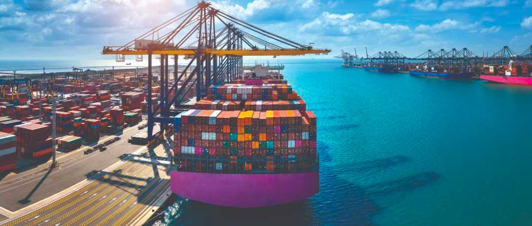 Built for Local and Global Supply Chains